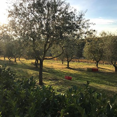 Il Villino Farmhouse Castellina in Chianti Exteriér fotografie