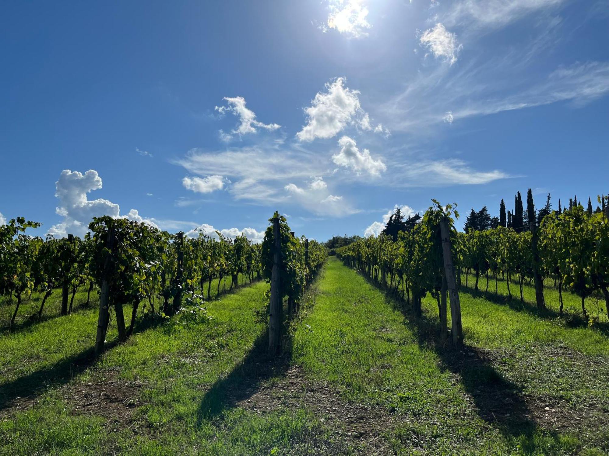 Il Villino Farmhouse Castellina in Chianti Exteriér fotografie