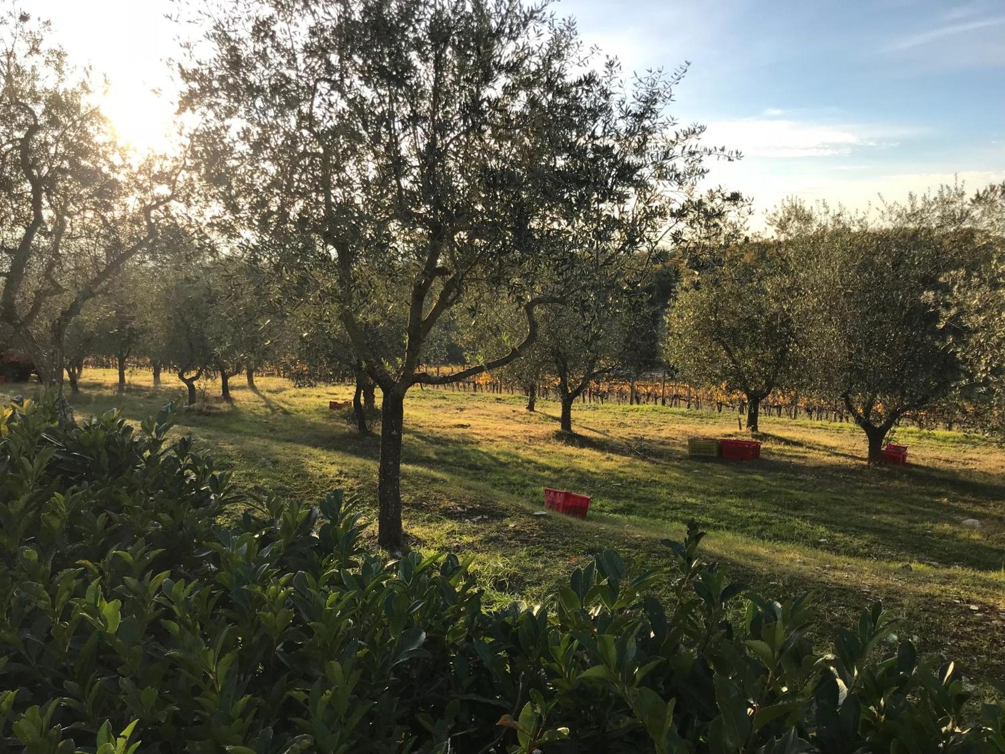 Il Villino Farmhouse Castellina in Chianti Exteriér fotografie